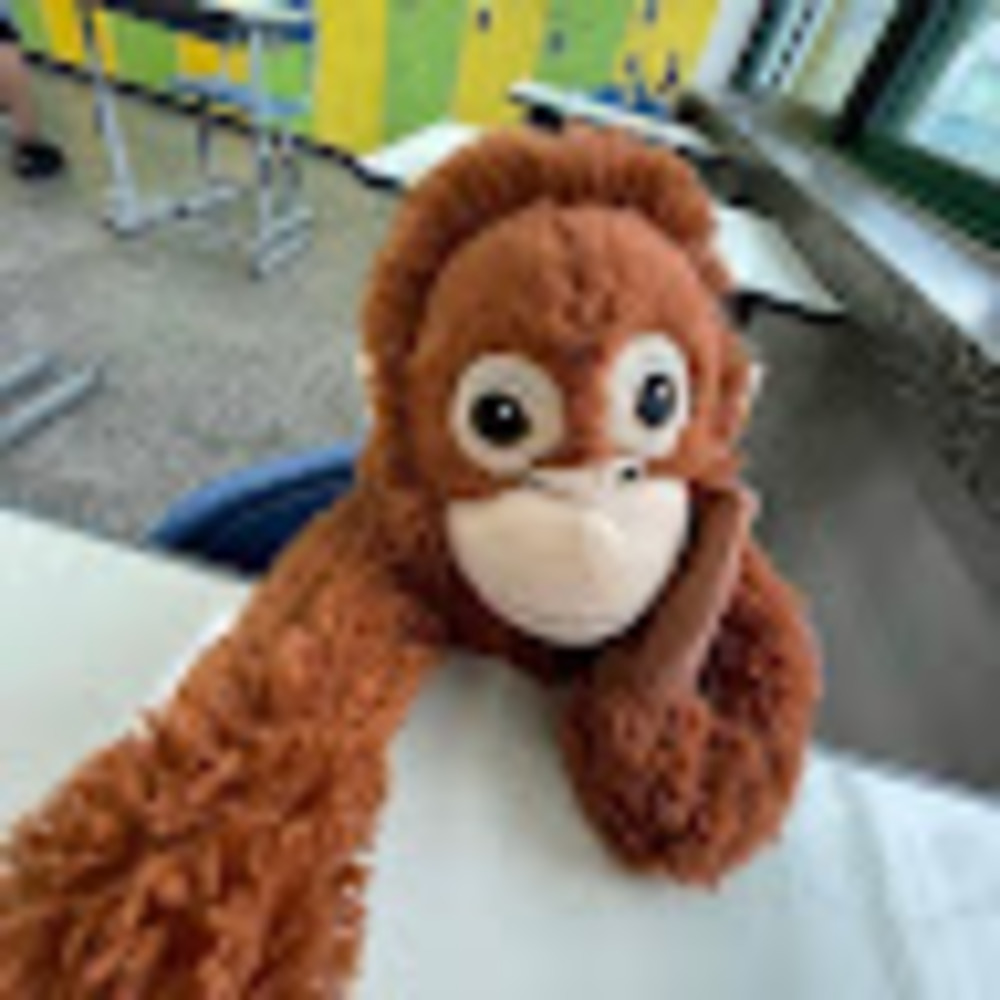 Meet your Posher, Dohyun